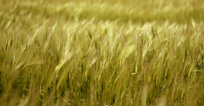 Anxiety Counselling in Melfort: Find Relief and Reclaim Peace of Mind