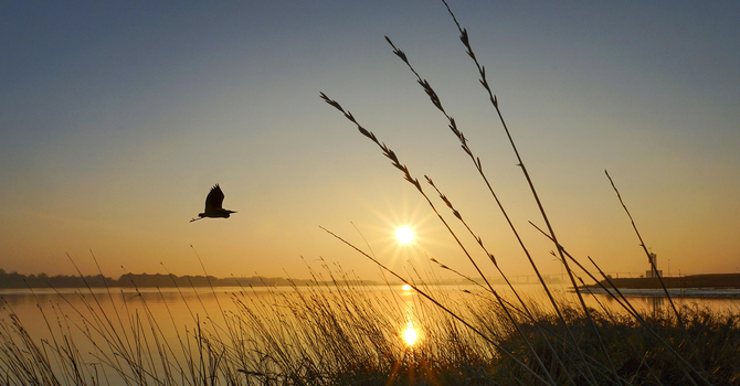 A Comprehensive Guide to Trauma-Informed Therapy 