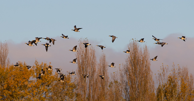 Anxiety Counselling in Melfort: Find Relief and Reclaim Peace of Mind