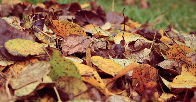 Anxiety Counselling in Melfort: Find Relief and Reclaim Peace of Mind