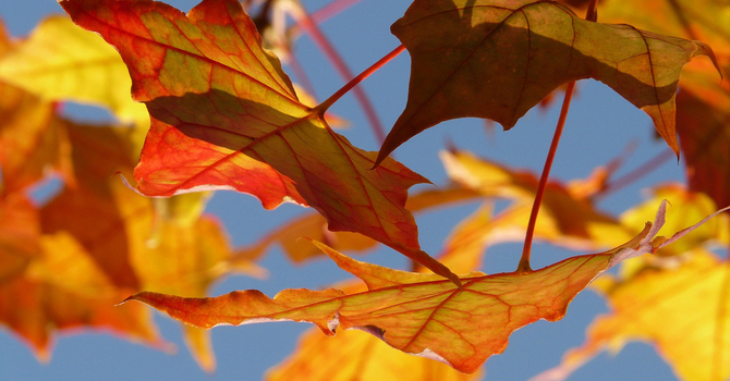 Anxiety Counselling in Melfort: Find Relief and Reclaim Peace of Mind
