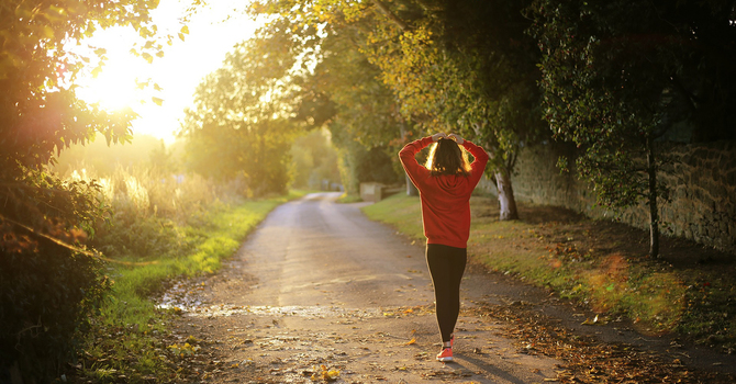 A Comprehensive Guide to Trauma-Informed Therapy 