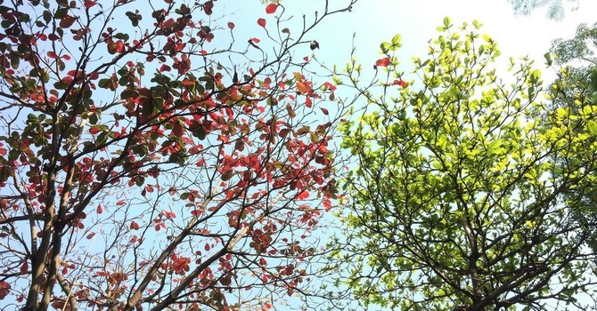  Thriving in Transition: Mastering Adaptability and Resilience in Times of Change