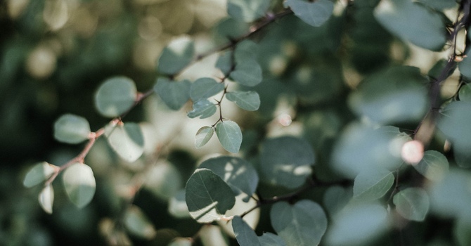 A Comprehensive Guide to Trauma-Informed Therapy 