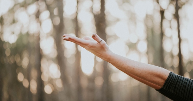 A Comprehensive Guide to Trauma-Informed Therapy 